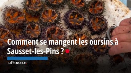 Comment se mangent les oursins à Sausset-les-Pins ?