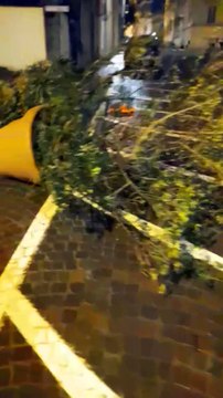 Sansepolcro, centro storico devastato. Fioriere a terra e panchine divelte