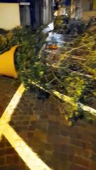 Sansepolcro, centro storico devastato. Fioriere a terra e panchine divelte