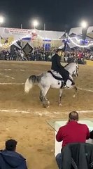 المركز الاول عداد الدبوس و الفارس محمد جمعه في بطولة البحيرة الخامس عشر (shabakngy.com)