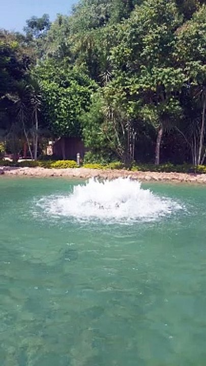 منظر غاية فى الجمال