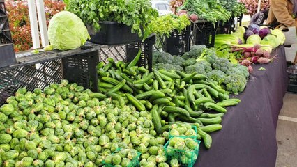 Buy a home in Oxnard, CA / Should You Buy Real Estate Now?