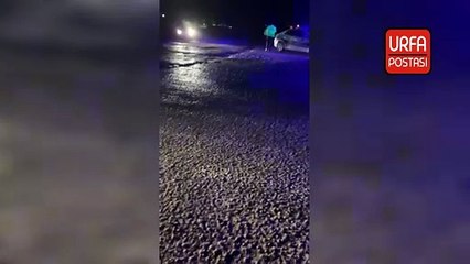 Şanlıurfa'da Suriyeli kadın trafik kazasında hayatını kaybetti