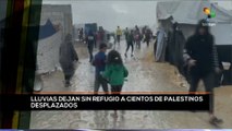 teleSUR Noticias 14:30 14-01: Lluvias dejan sin refugio a cientos de palestinos desplazados