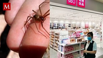 Trabajador de Miniso fue ingresado al hospital por convulsiones tras presunta mordedura de araña