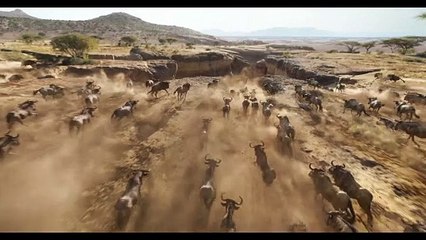 (هتلاقوا لينك الفيلم كامل مدبلج اسفل الفيديو في الوصف) كامل مدبلج ومترجمة عربيthe lion king  جميع أفلام الأسد الملك