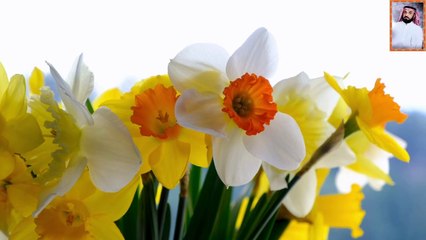 اجمل صوت قران فى العالم