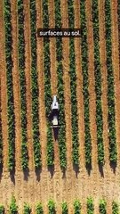 Le problème des fermes verticales.