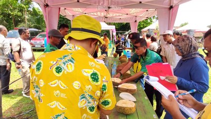 Proses Penjurian Durian Terbaik Tegalombo  Festival Durian Desa tegalombo (1)