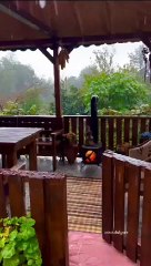 VID-20240105-WA0031