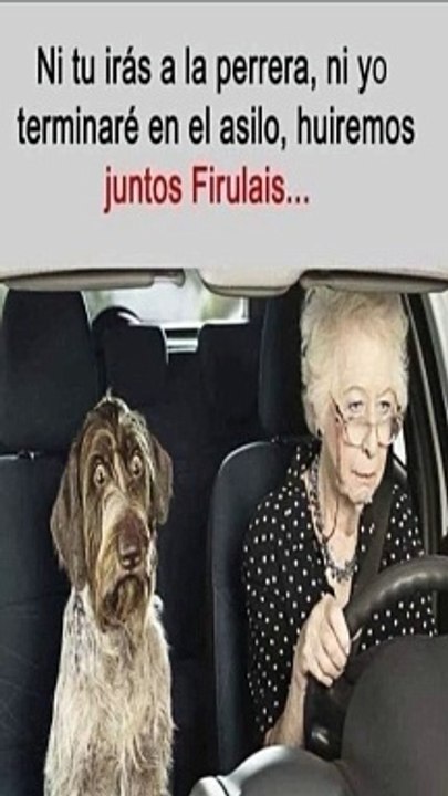 Libertad compartida: - Evitando la perrera juntos