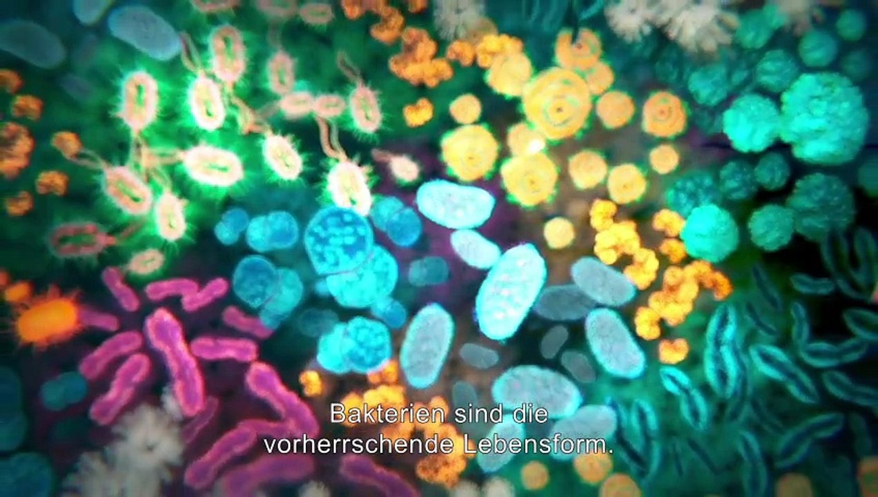 Unser mikrobiom das unsichtbare aussterben film