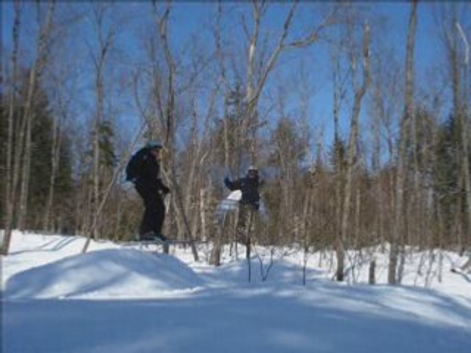 Ski valle