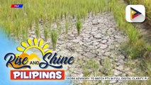 Publiko, pinayuhan ng PAGASA na magtipid ng tubig dahil naramdaman na ang epekto ng El Niño