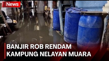Ratusan Rumah di Kampung Nelayan Muara Angke Terendam Banjir Rob