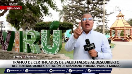 ¡Exclusivo! Tráfico de certificados de salud falsos al descubierto: destruyendo agroexportación de arándano peruano para el mundo