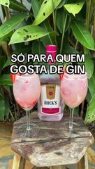 Drinks e bebidas