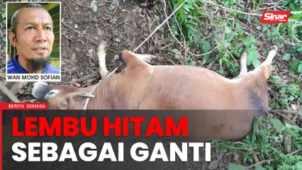 Pencuri pulang lembu hitam sebagai ganti