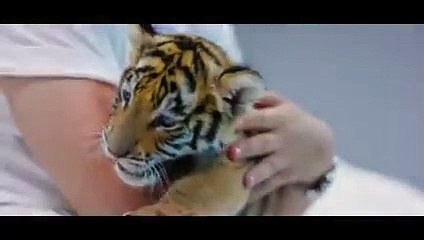 Saad Lamjarred - LET GO (EXCLUSIVE Music Video) _ (فيديو كليب حصري) LET GO - سعد لمجرد
