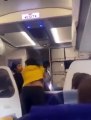 Video : इंडिगों के पायलट को विमान में ही यात्री ने पीटा, फिर मच गया हंगामा