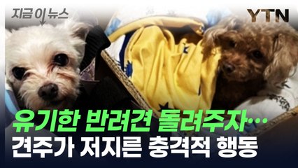 유기한 반려견 돌려줬더니...견주가 저지른 충격적인 일 [지금이뉴스] / YTN