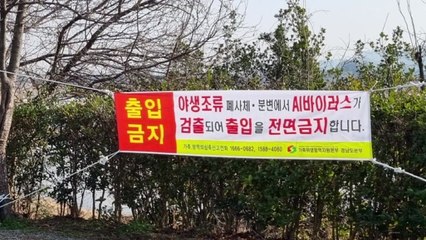 지난달에 이어 창원 야생 조류에서 고병원성 AI 확진 / YTN