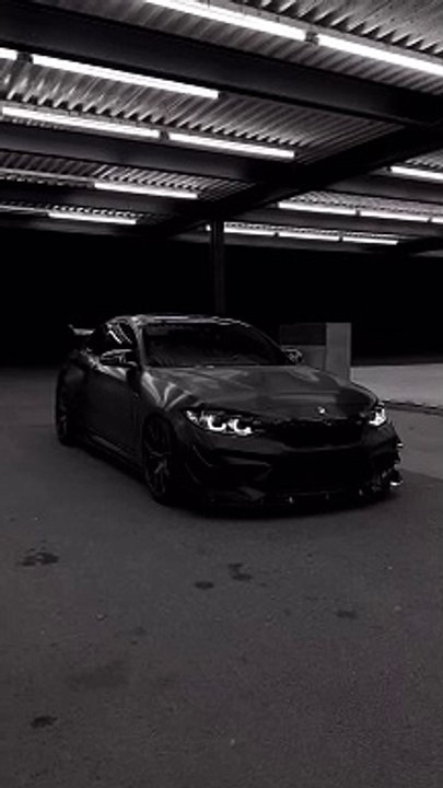 BMW Lover's 
