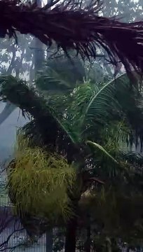 La Réunion face au mur de l'oeil de Belal