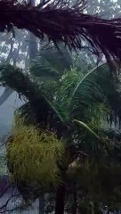 La Réunion face au mur de l'oeil de Belal