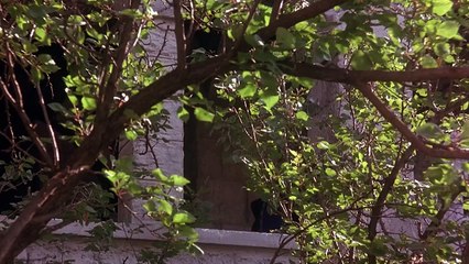 King Arthur _ Daniel Craig, Kate Winslet _ Adventure _ Full Movie