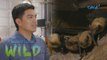 Join Doc Ferds Recio as he visits a church in Pampanga inhabited by bats | Born to be Wild