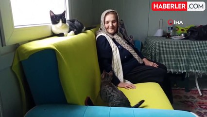73 yaşındaki Şaziye Teyze, konteyner evinde kedileriyle yaşamını sürdürüyor