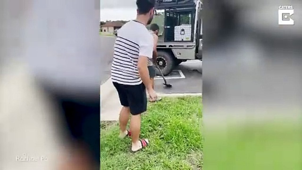 Ce gros serpent a voulu faire un petit tour de voiture