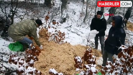 Osmaniye'de Yaban ve Sokak Hayvanlarına Besleme Çalışması