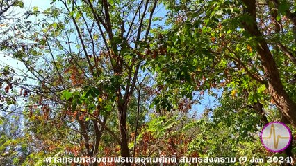 ศาลกรมหลวงชุมพรเขตอุดมศักดิ์ อ.เมือง สมุทรสงคราม