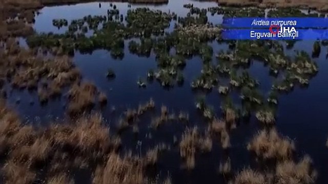 Afrika'nın balta girmemiş ormanları değil, burası Sivas! Belgeselleri aratmadı