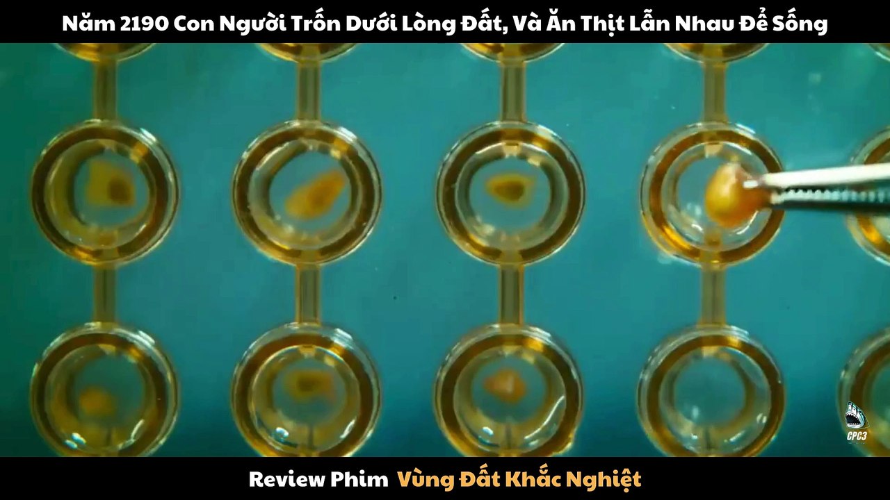 Review Phim Vùng Đất Khắc Nghiệt - the colony
