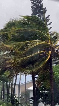 Marie-Alix Jeanson, star de Familles nombreuses, la vie en XXL sur TF1, face au cyclone Belal à la Réunion.