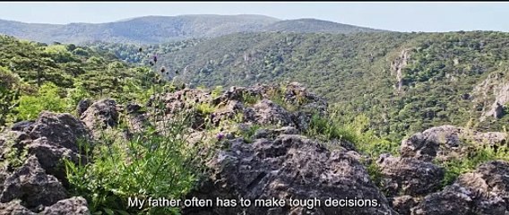 Veni Vidi Vici Trailer: Epic Adventure Awaits! 🎬