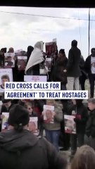 Red Cross calls for 'agreement' to treat hostages