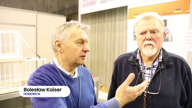 Dziennik Zachodni / Wystawa gołębi / reporter Tomasz Kawka