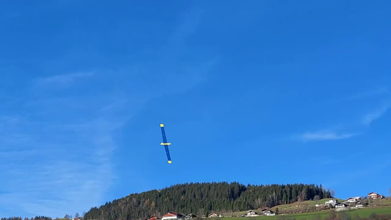 Habicht, Nurflügel Schweissgut