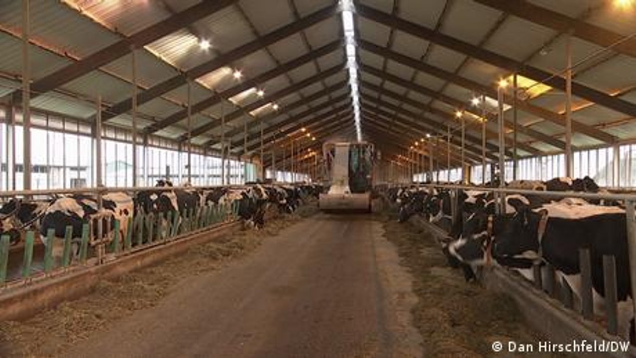 Bauern fühlen sich gegängelt