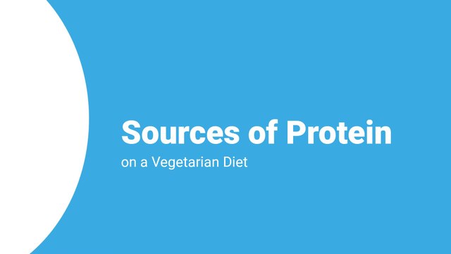 Sources of Protein on a Vegetarian Diet
