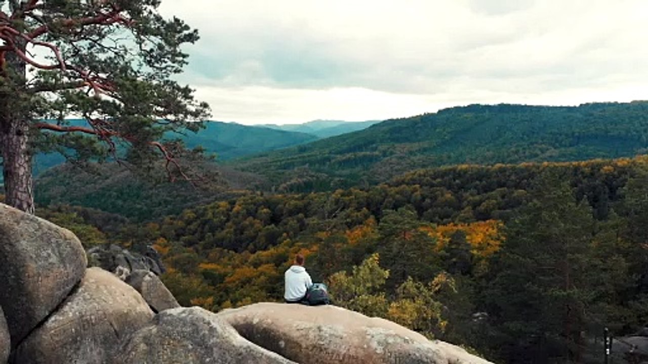 Man enjoying the view of the woods