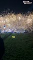 Mesmerizing New Year's Skyline Celebration!  || Best of Internet