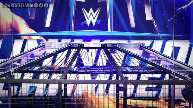 Roman Reigns NOT Working Elimination Chamber...AJ Lee...Surprise WWE Royal Rumble...Wrestling News