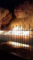 Incendio de árboles