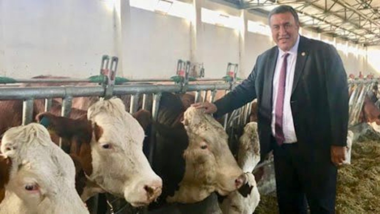 Gürer: "2023 yılı hayvan ithalatının son yıllarda en yüksek olduğu yıl oldu. Bu yıl da devam edeceği açıklandı"