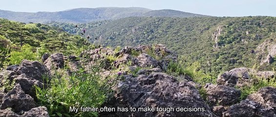 Veni Vidi Vici - Teaser